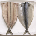 Lowest Price Frozen Pacific Mackerel Butterfly Flap